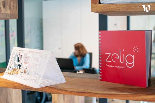 Zelig Consultants