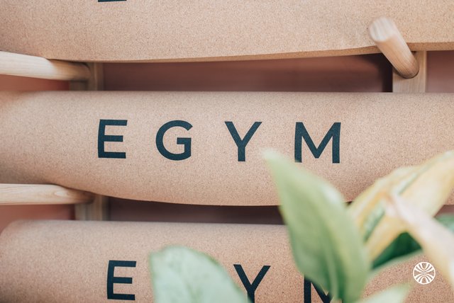 EGYM Wellpass - Ex Gymlib