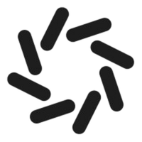Domino Data Lab