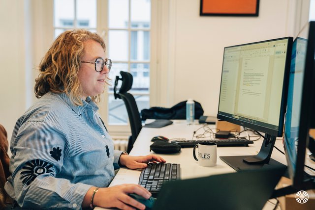 3KLES Consulting