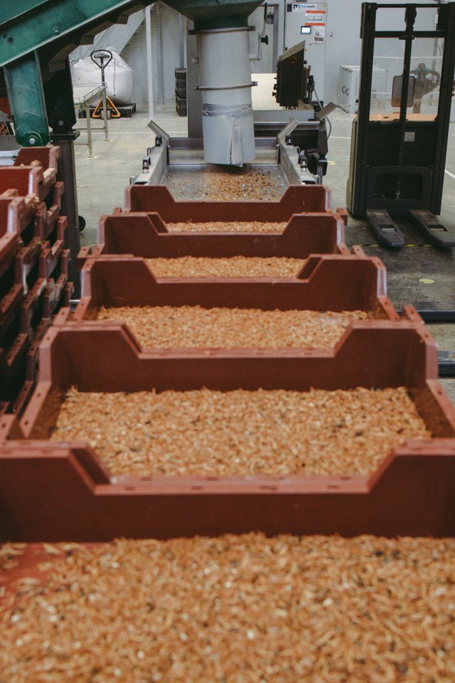 Ÿnsect étend son financement de série C à 372 millions USD - Ÿnsect