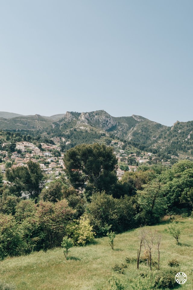 Panier Des Sens