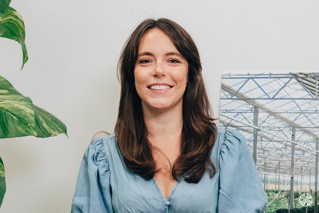 Meet Chloé, Cheffe de pôle études 100 - 500 kWc - Technique Solaire