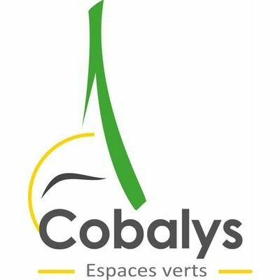 Cobalys