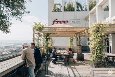 Free Pro
