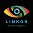 Linkor Business Intelligence corp.