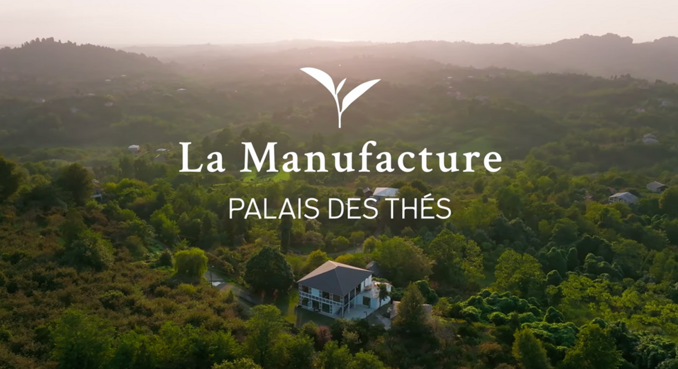 Découvrez notre Manufacture de Thé en Géorgie - Un lieu de formation au cœur des plantations de Thé - Palais des Thés