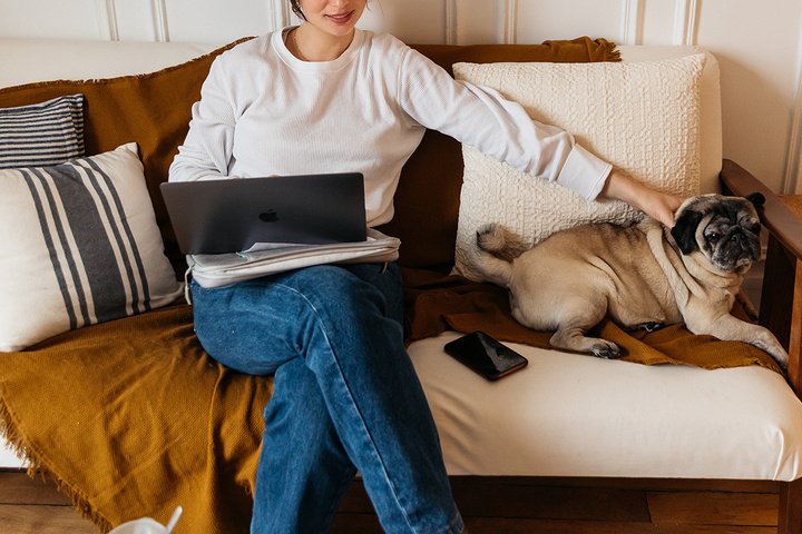 Quand nos animaux de compagnie s'invitent en télétravail... ça donne ?