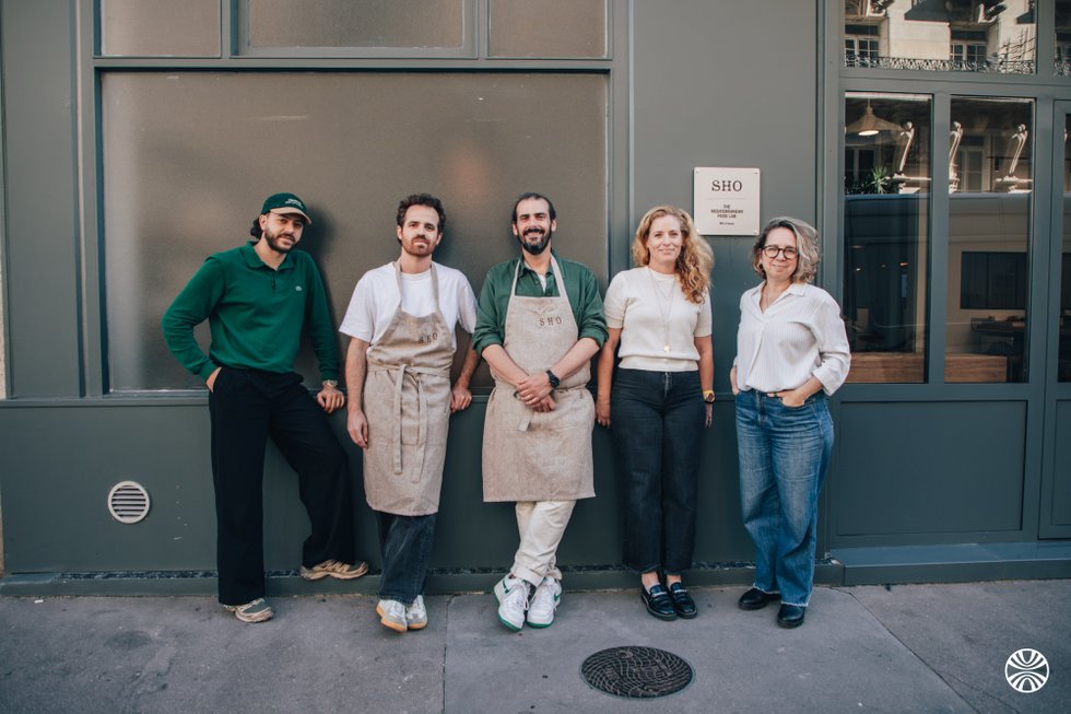 The Mediterranean Food Lab