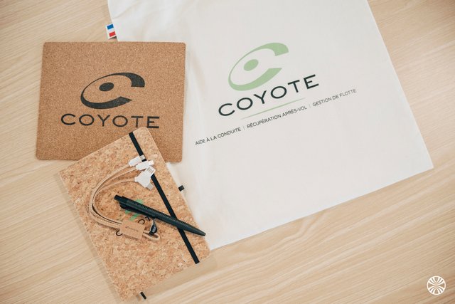 Coyote Business Services