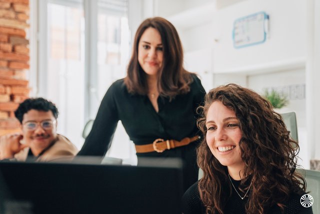 Link Consulting
