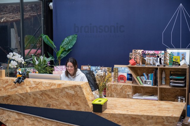 Brainsonic