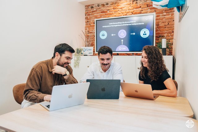 Link Consulting