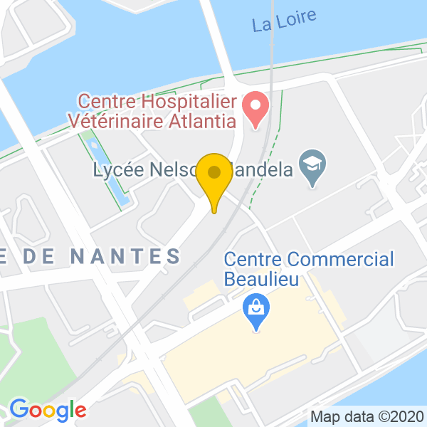 6 Rue René Viviani, 44200, Nantes