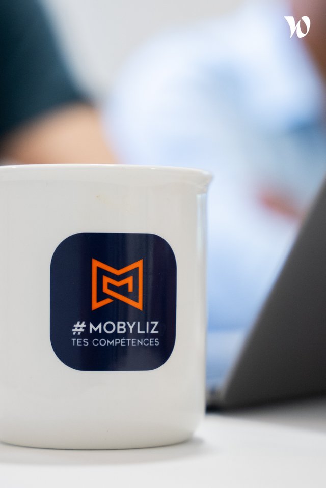 MOBYLIZ