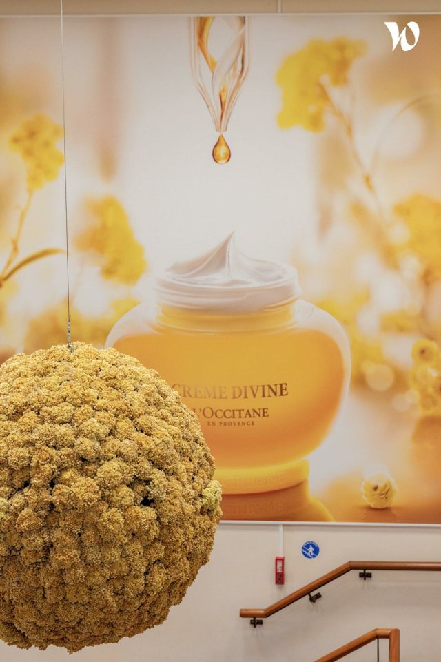 L’Occitane