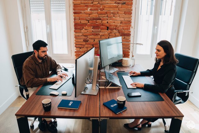 Link Consulting