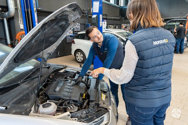 Norauto International