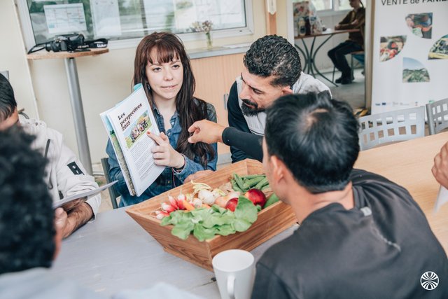 Croix-Rouge Insertion