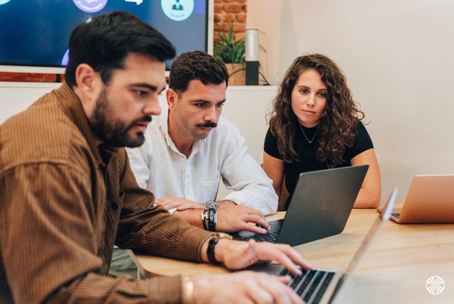 Link Consulting