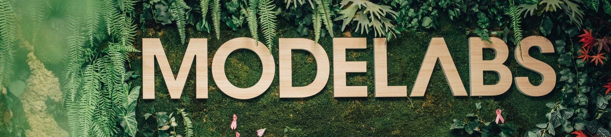MODELABS