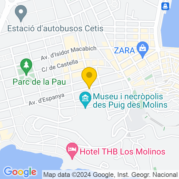 Google Map