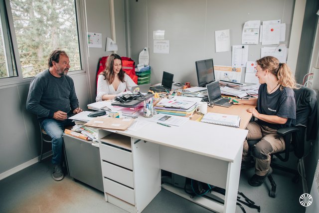 Croix-Rouge Insertion