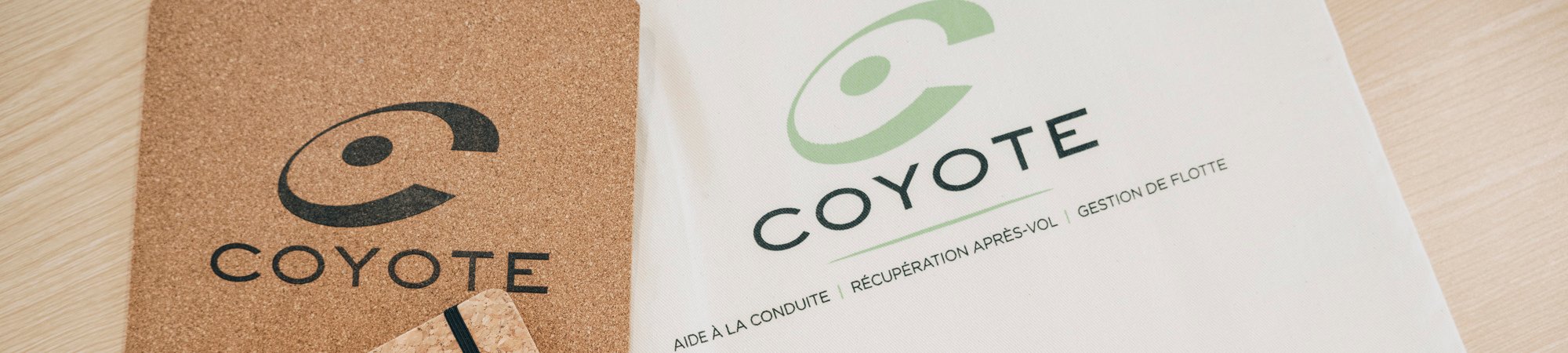 Coyote Business Services