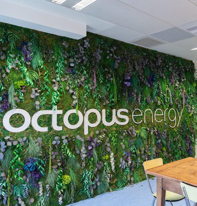 Octopus Energy France