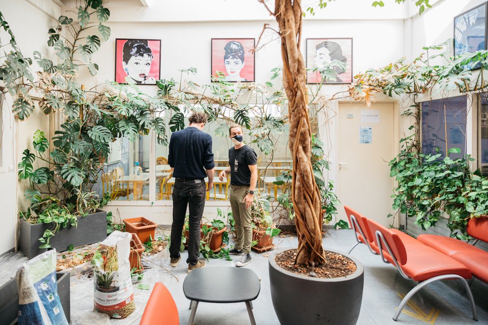 Planter des herbes folles dans le béton, le quotidien d’un jardinier urbain 