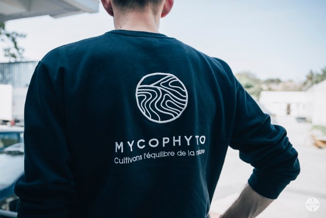 MYCOPHYTO