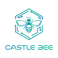 CASTLE BEE - DATA, CLOUD & CYBER FOUNDRY