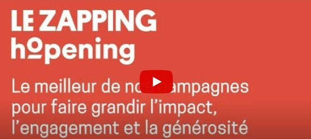 Le Zapping Hopening - Hopening Groupe