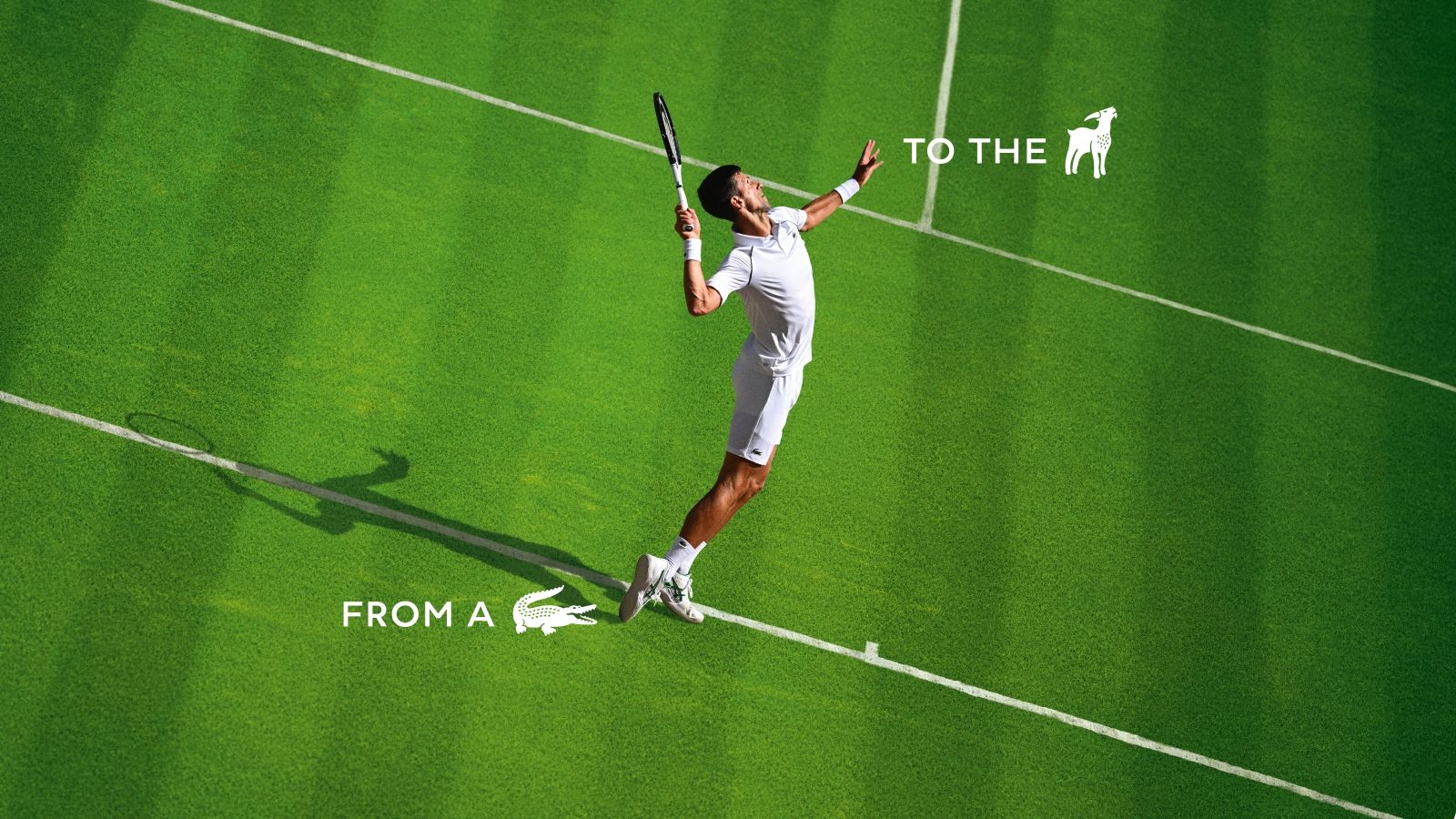 téléchargement (2).jpeg