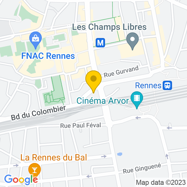 Google Map