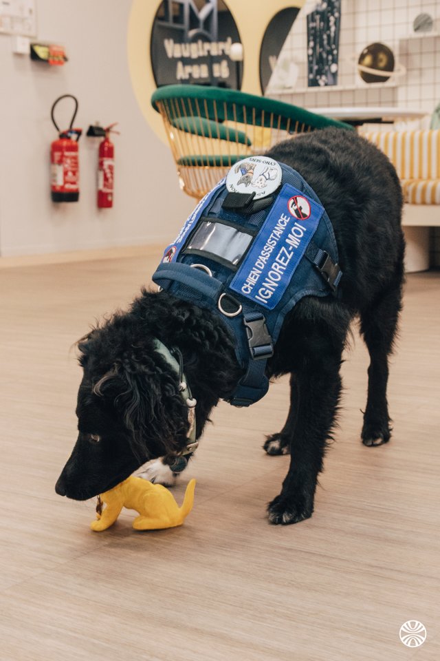 vialytics FRANCE SAS