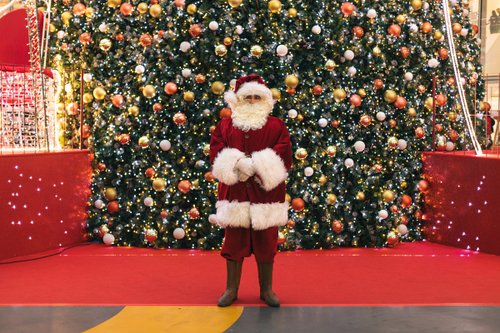 Lutin, Père Noël, vendeur de sapins : rencontres avec les travailleurs qui font Noël