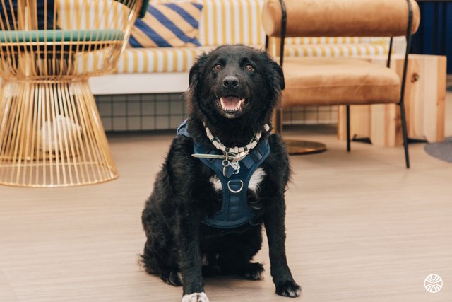 vialytics FRANCE SAS