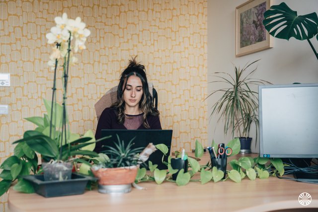 FREDON Ile de France