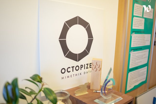 Octopize - Mimethik Data