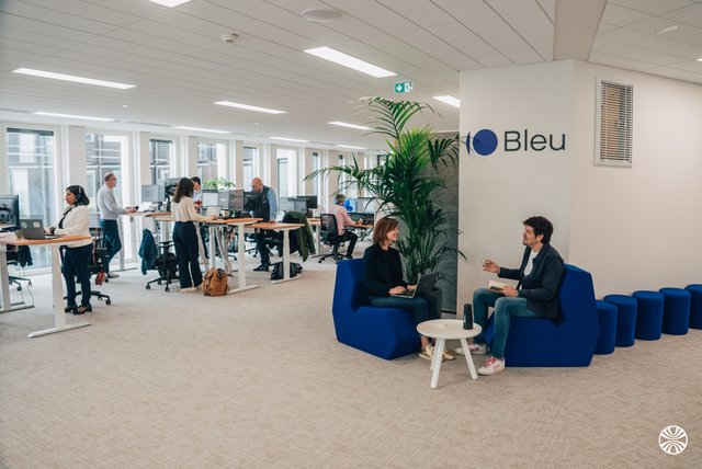 Bleu