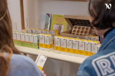 Groupe Inula (Pranarôm- HerbalGem- Biofloral)