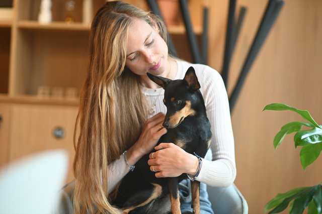 Ultra Premium Direct