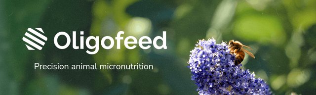 Oligofeed