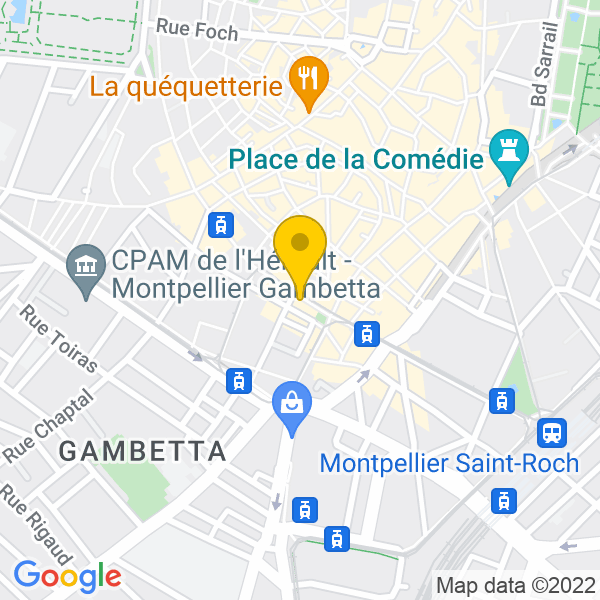 Google Map