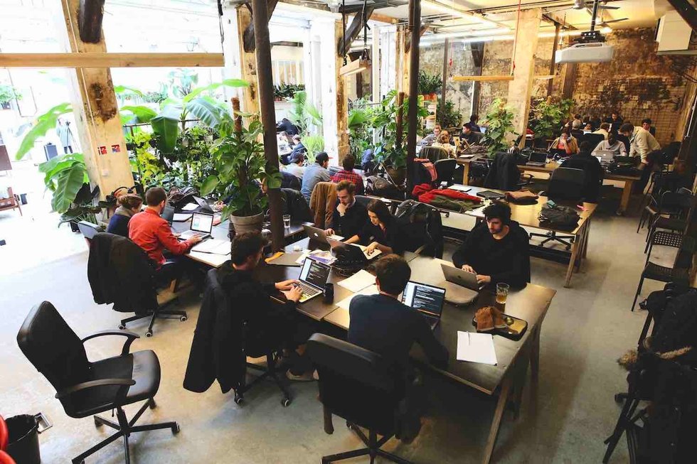 KparK, Masteris, M. Moustache : les entreprises qui recrutent