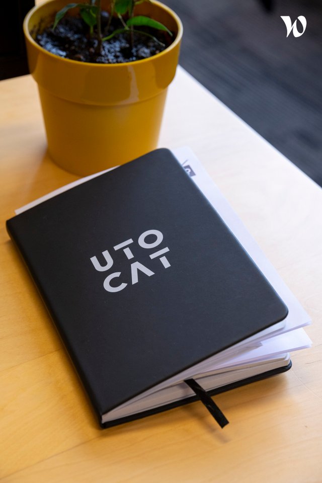 Utocat