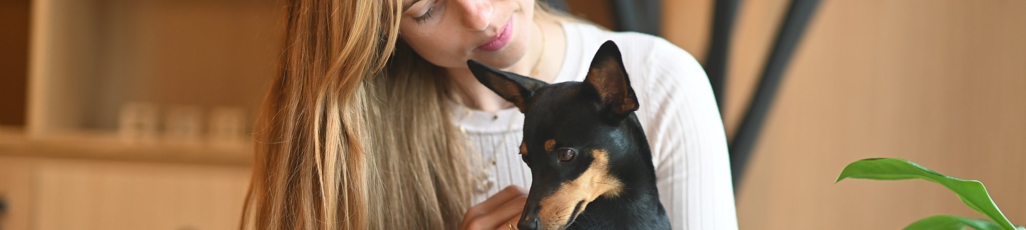 Ultra Premium Direct