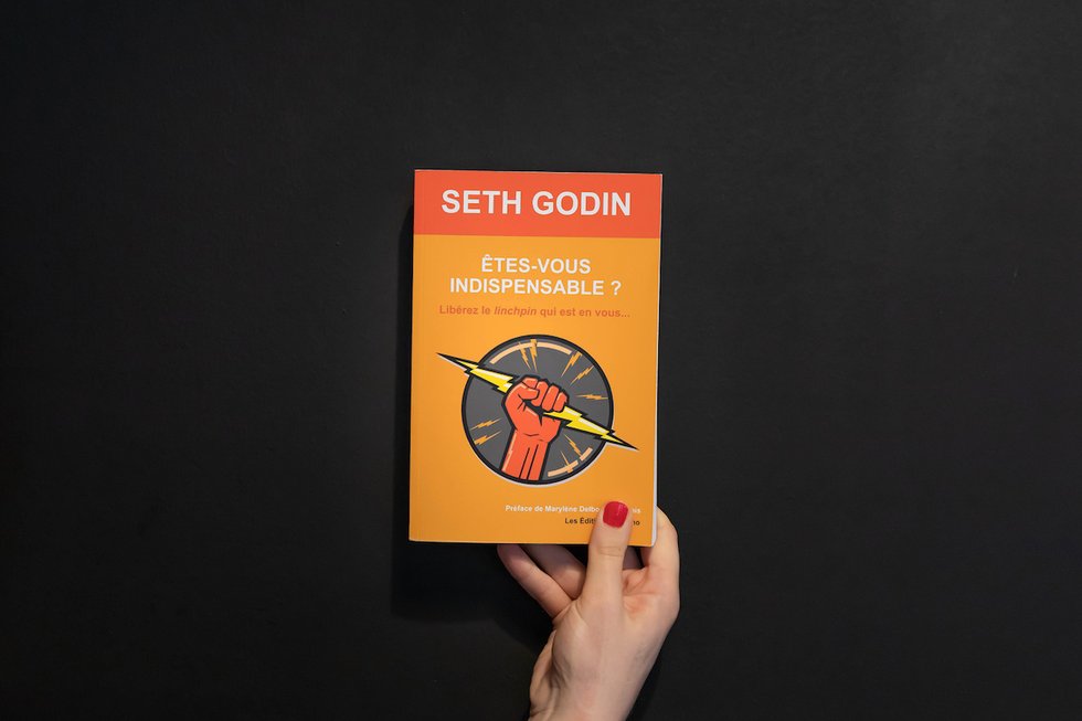 Etes-vous indispensable ? De Seth Godin