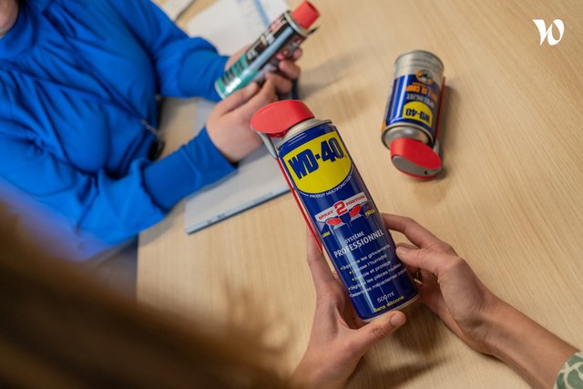 WD 40 COMPANY LTD